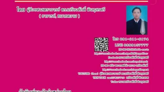 208859867_902729307313116_7586456122466993007_n